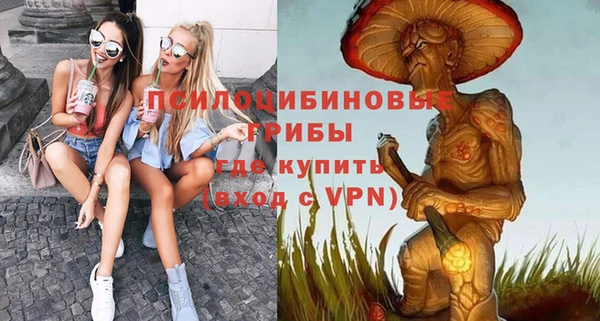 амф Алексин