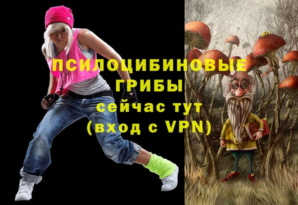амф Алексин