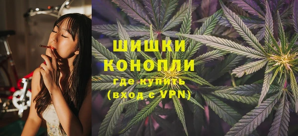 сатива Алексеевка