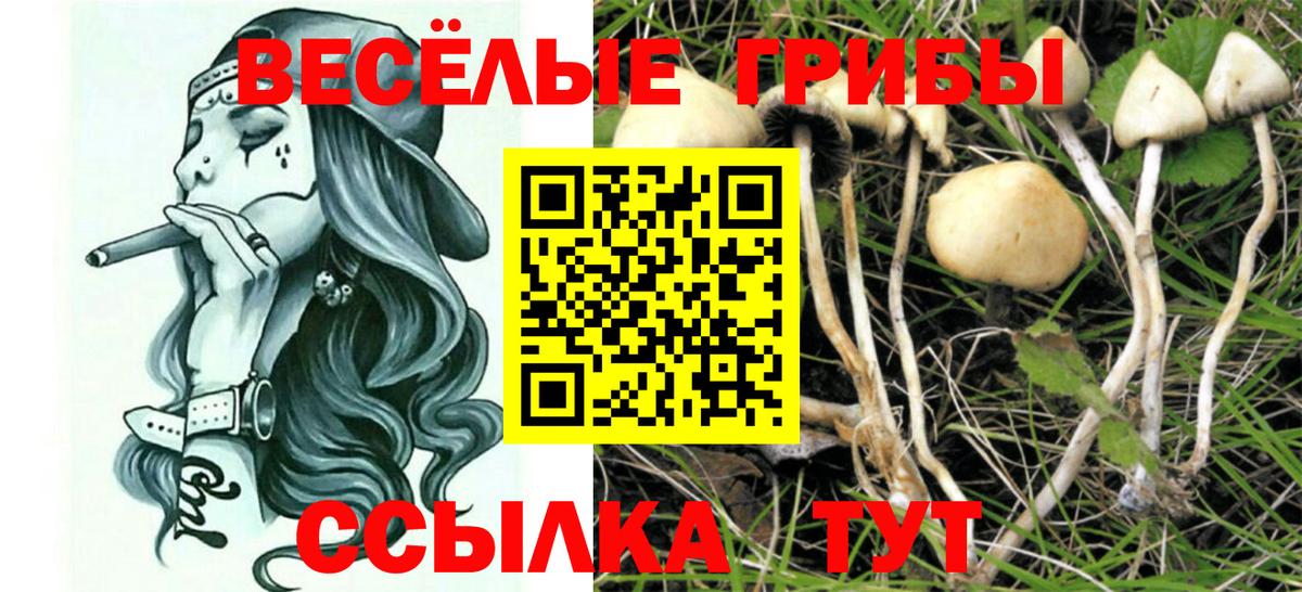 Псилоцибиновые грибы GOLDEN TEACHER  Вход с VPN  Казань 
