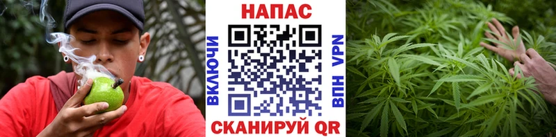 МАРИХУАНА ГИДРОПОН Казань